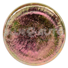 Pernos VARIOS FORD 21446