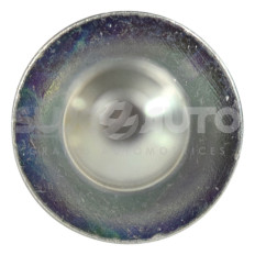 Remache Uso Rudo F-150 FORD 21509