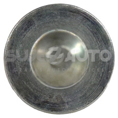 Remache Uso Rudo F-150 FORD 21512